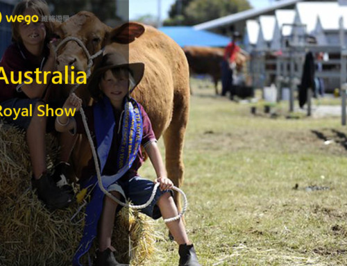 2017澳洲 Royal Show(如何找工、履歷、時間)