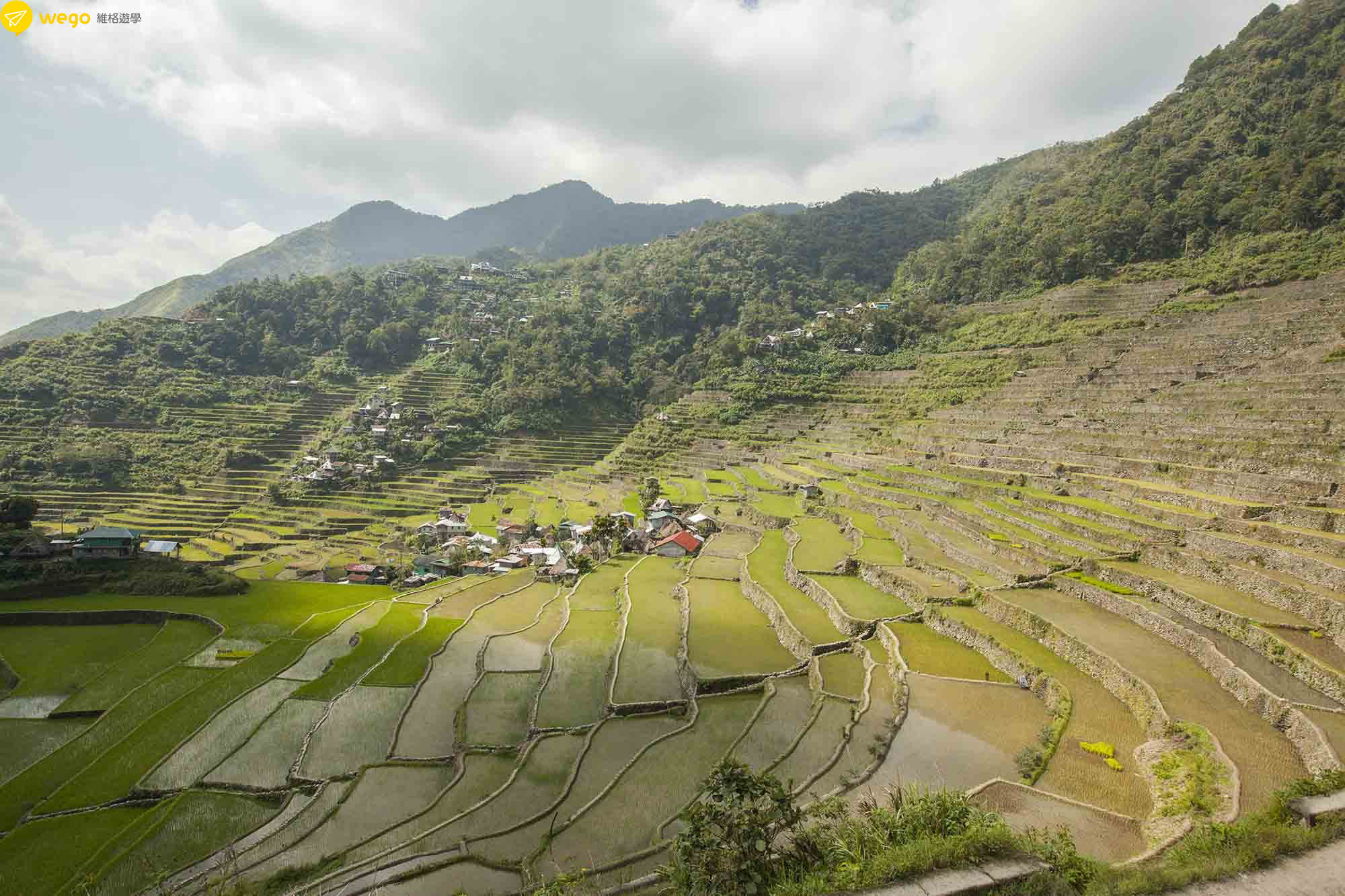 Wego遊學團巴拿威