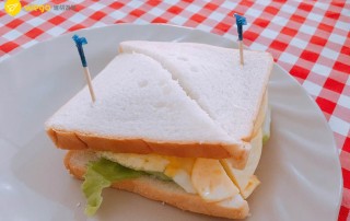 提供素食菲律賓語言學校 -ELSA宿霧語言學校-素食早餐