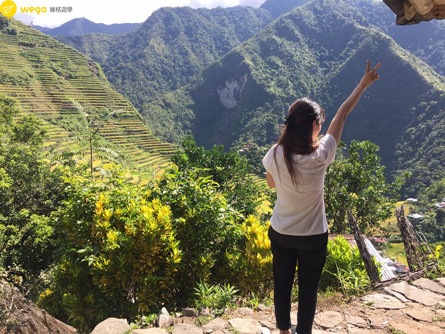 Alice-碧瑤Wales心得分享-7