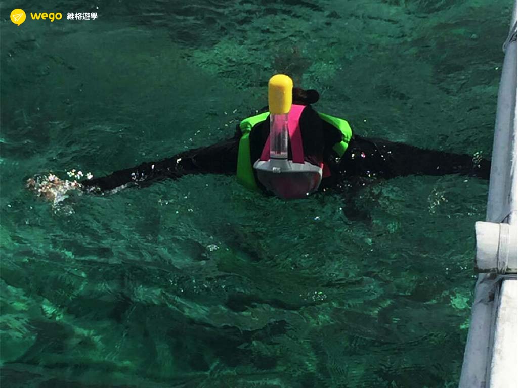 ELSA學員心得 Elsa語言學校 菲律賓遊學心得