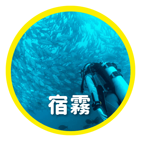 2020暑假菲律賓遊學-宿霧