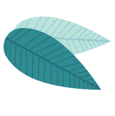 2020淡季優惠-克拉克語言學校