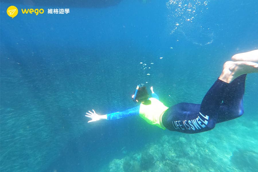 CELLA菲律賓語言學校 -學習心得分享-浮潛 CELLA 菲律賓心得 學習心得分享-夕陽浮淺