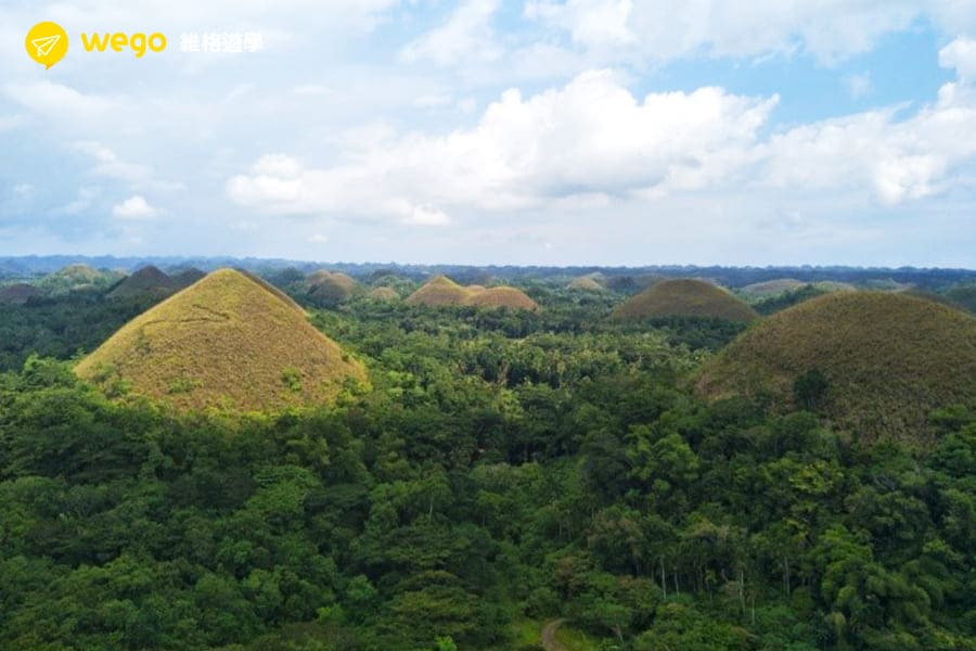 IMS語言學校-6週多益學習分享-薄荷島巧克力山