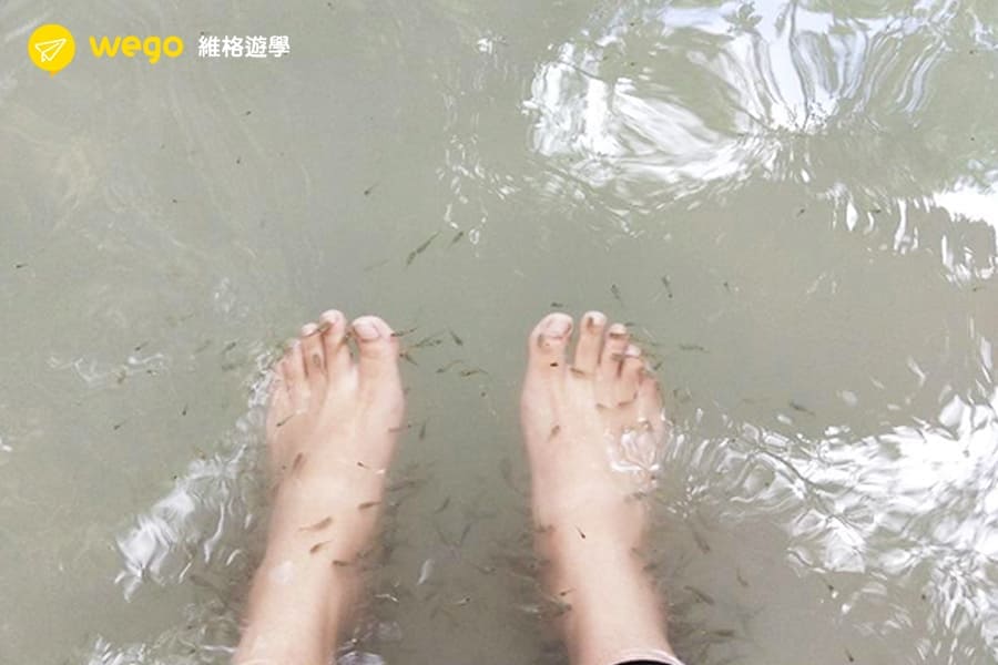 SMEAG菲律賓語言學校- 假日出遊 SMEAG菲律賓語言學校- 假日出遊