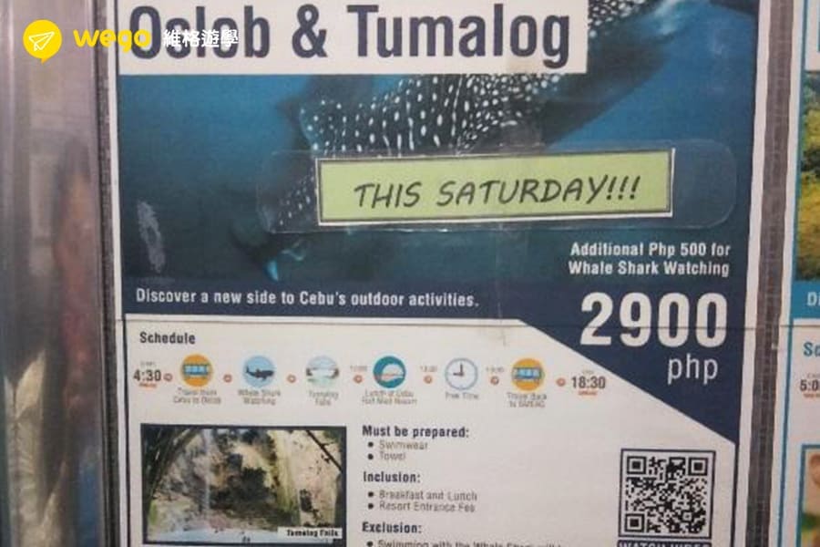 SMEAG菲律賓語言學校-賞鯨鯊活動 SMEAG菲律賓語言學校-賞鯨鯊活動