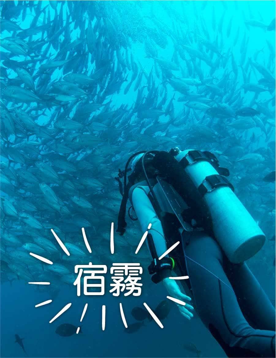 菲律賓6大旅遊勝地 菲律賓旅遊 kkday 宿霧