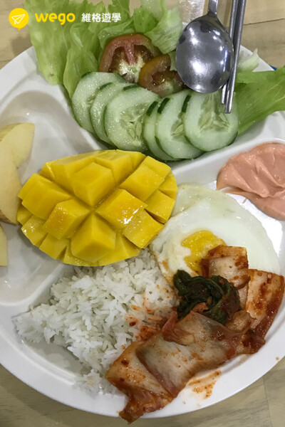 學校提供的素食餐點