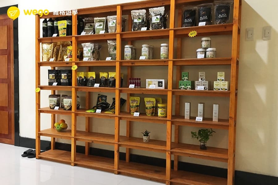 宿霧按摩推薦-mango tree-cella1附近-3