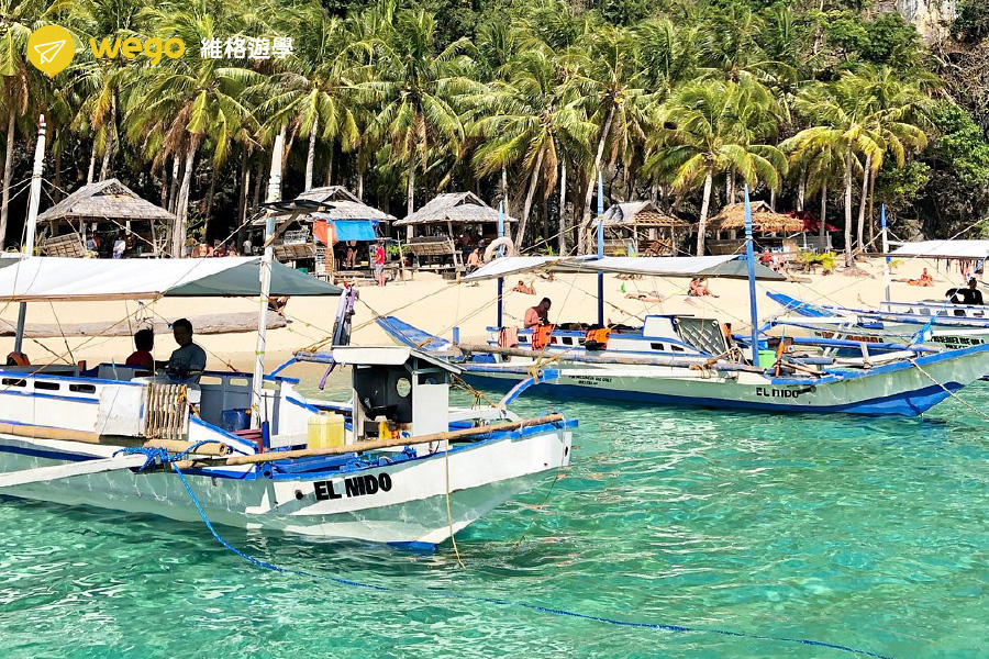 七勇士海灘的椰林