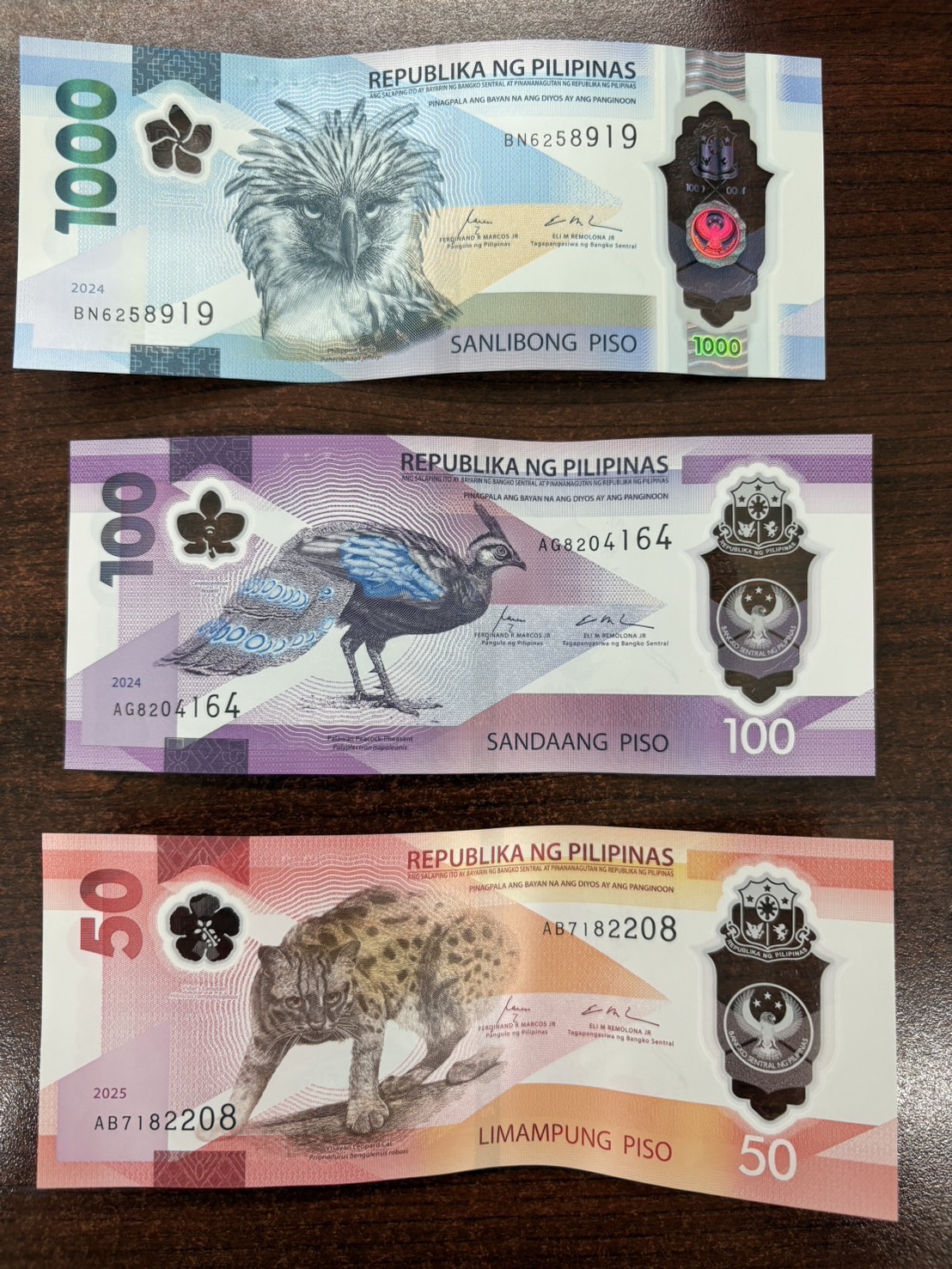 最新菲律賓披索紙鈔