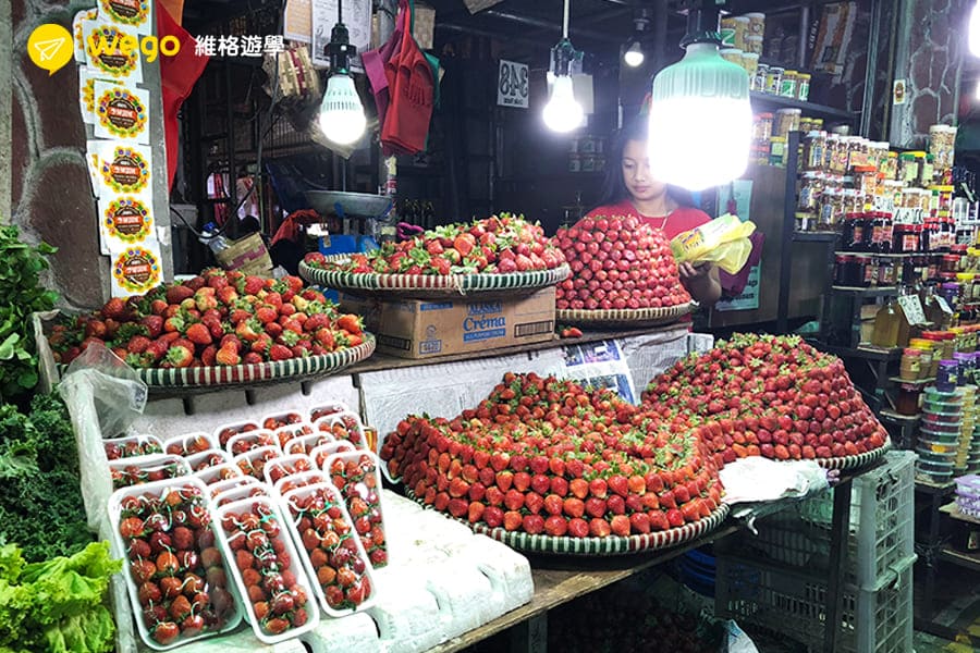 碧瑤景點-市場草莓園 碧瑤景點-市場草莓園