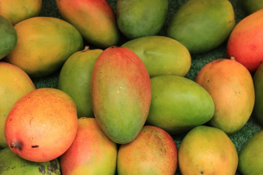 新鮮菲律賓芒果