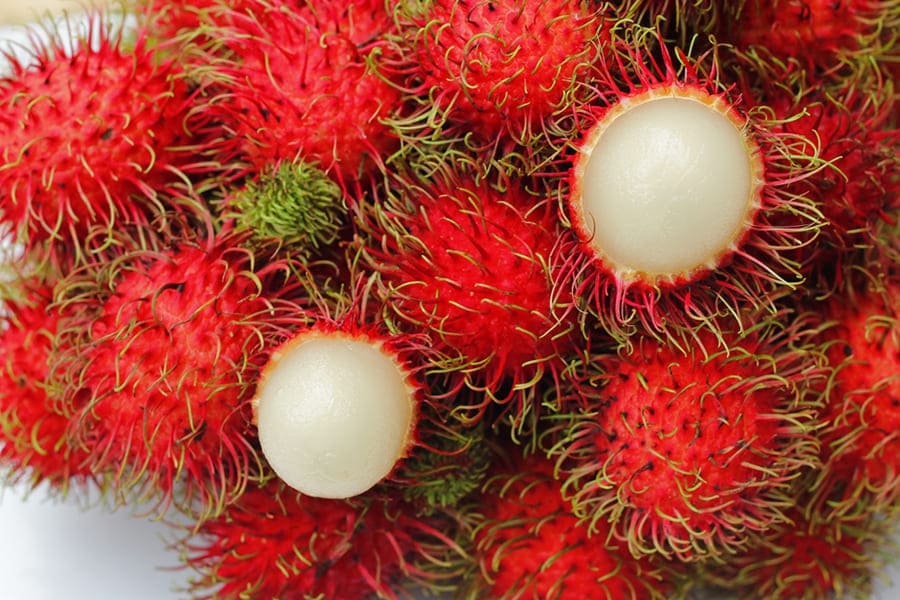 紅毛丹 Rambutan