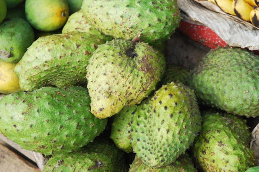 紅毛榴槤 Guyabano